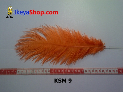 bulu kasuari medium KSM 9   feather  large2